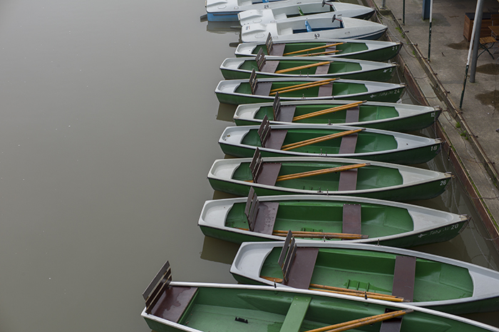 Tubingen boats