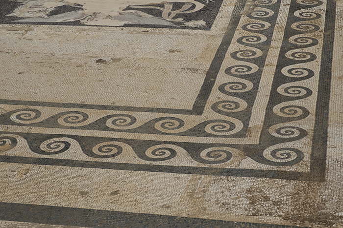 Mosaiced floor in ruins