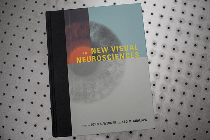 New Visual Neurosciences