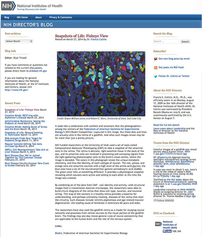 NIH Directors Blog