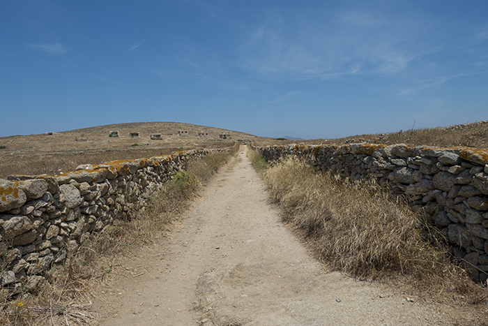 Road on Delos